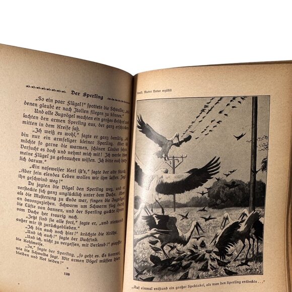 "Mother Nature Tells" By Karl Ewald Hardcover Book German Mutter Natur Erzählt - Picture 10 of 16